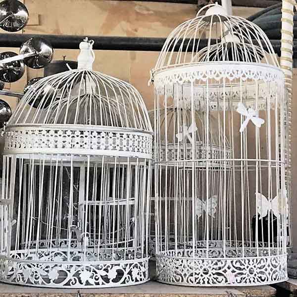 خدمات مجالس - قفس تزیینی